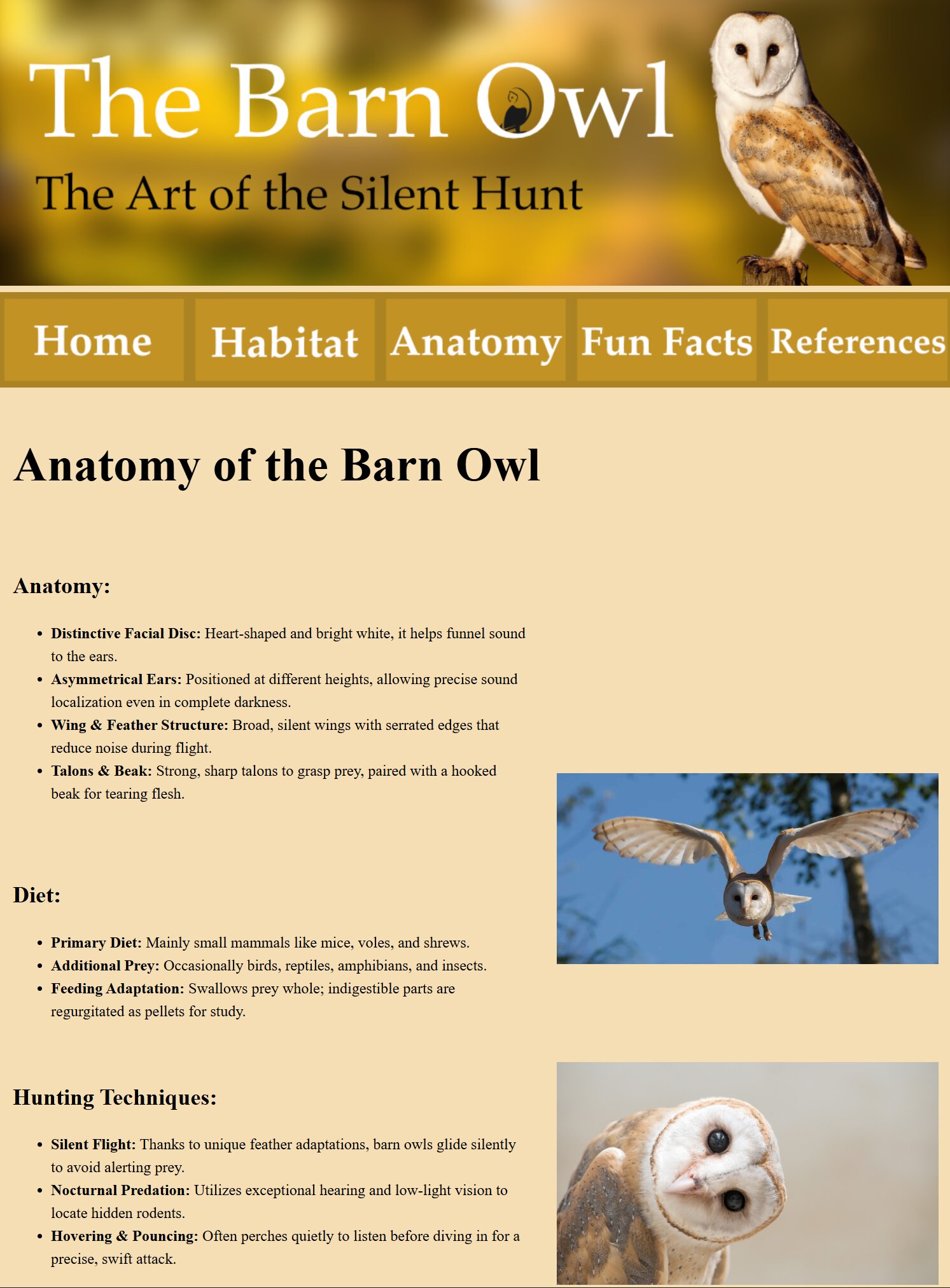 Barn Owl Website