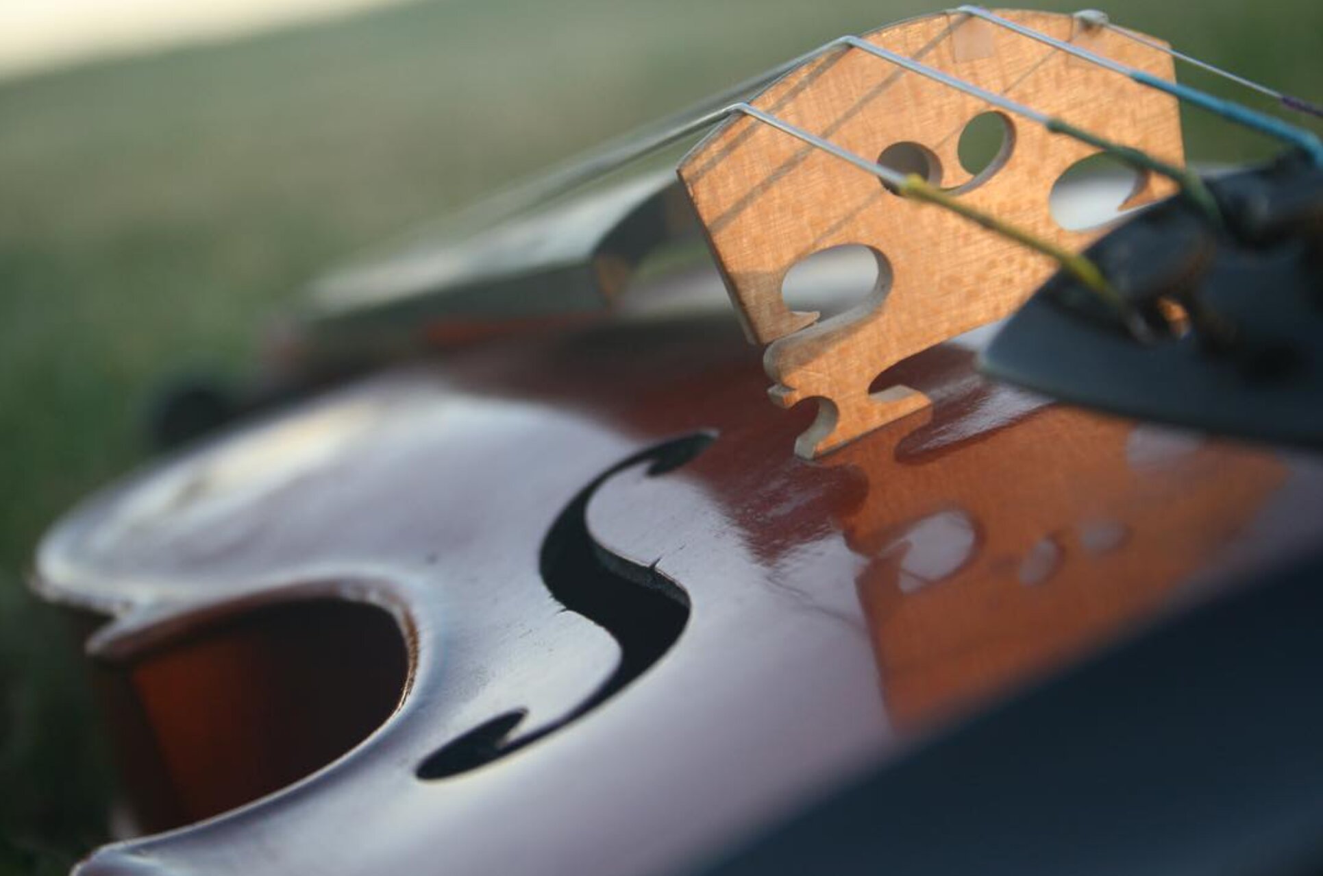 Violin